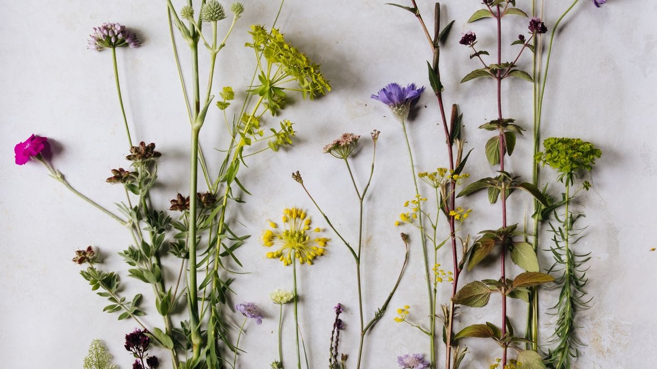 Sarah Price’s ideas for a naturalistic and sustainable planting scheme