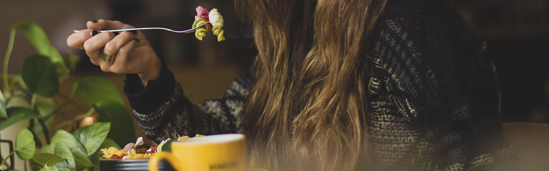 A Plant Attitude for body, mind and planet