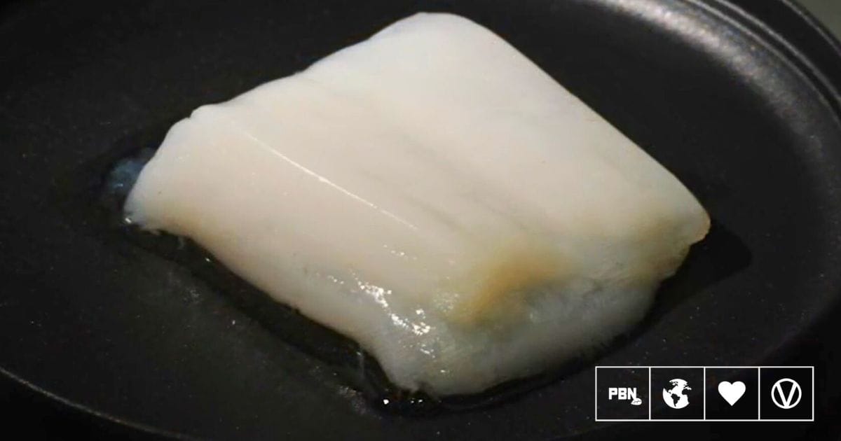 Cultivated Meat ‘Breakthrough’ Mimics Circulatory System, Grows Chicken ‘Nuggets’