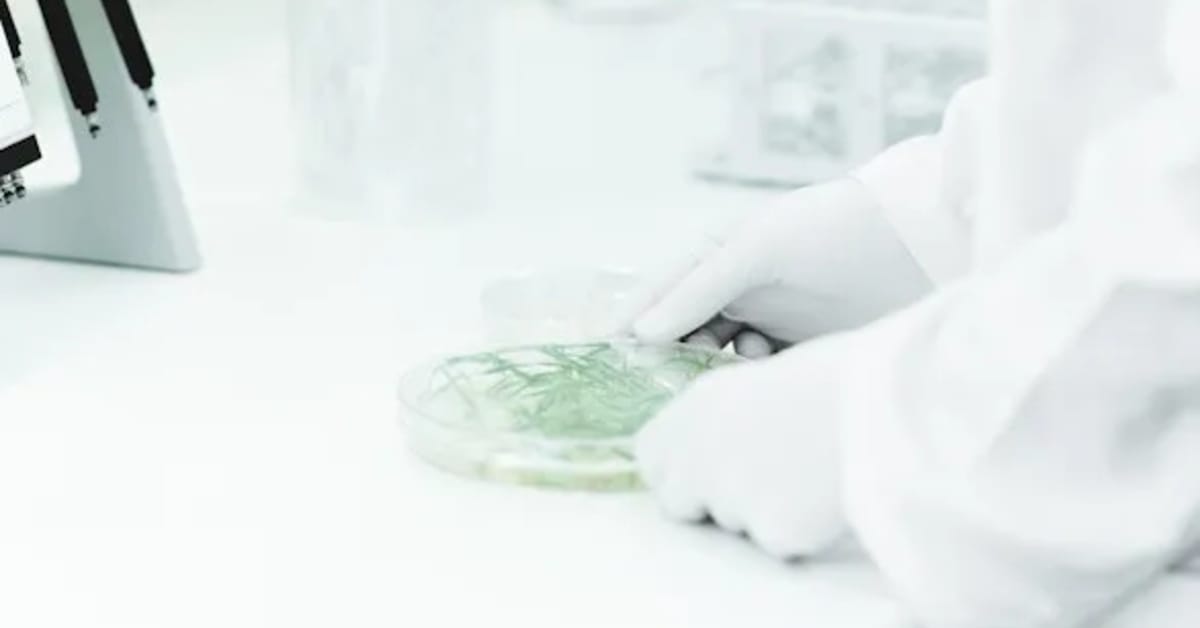 Iceland’s ORF Genetics lands €5M to scale plant-based growth factors for cultivated meat; eyes €7M total