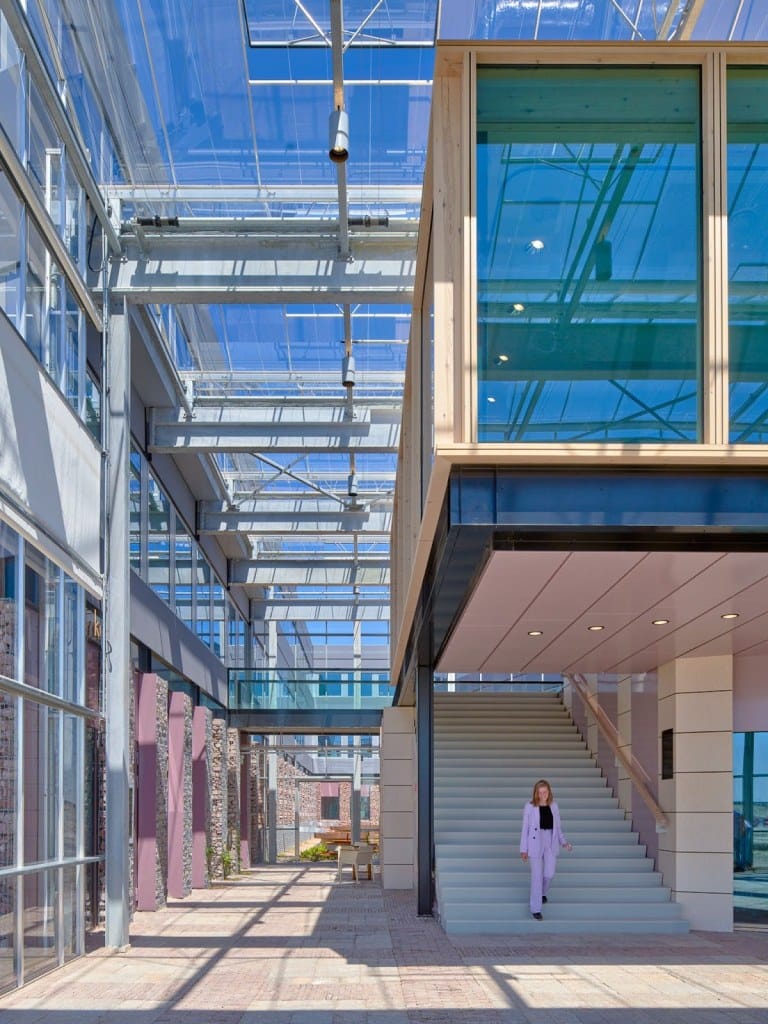 Nourish Ingredients bets on Europe as US turns cold on alt-meat