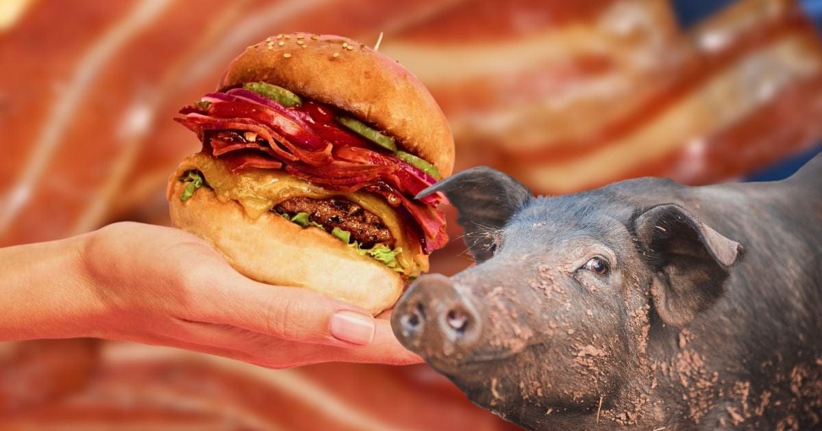 Too Realistic? Pork Lobby Accuses Vegan Bacon Brand Of Unfair Competition