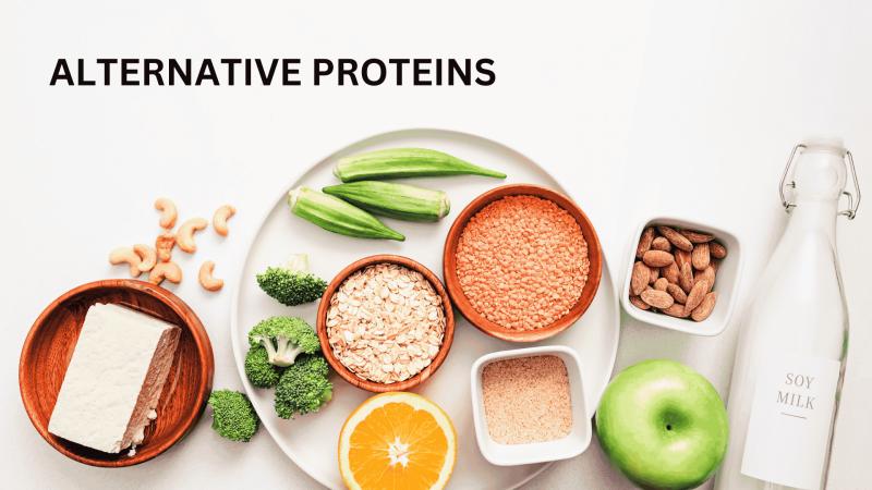United States Alternative Proteins Market Set for Explosive