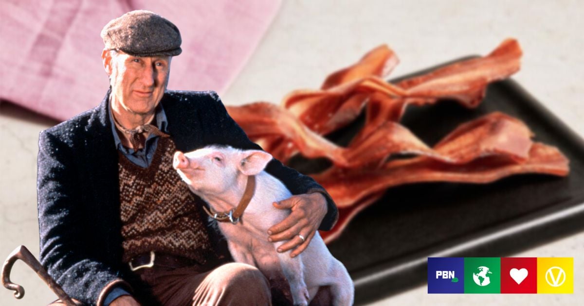Vegan Bacon Made From Seaweed Wins James Cromwell’s Approval