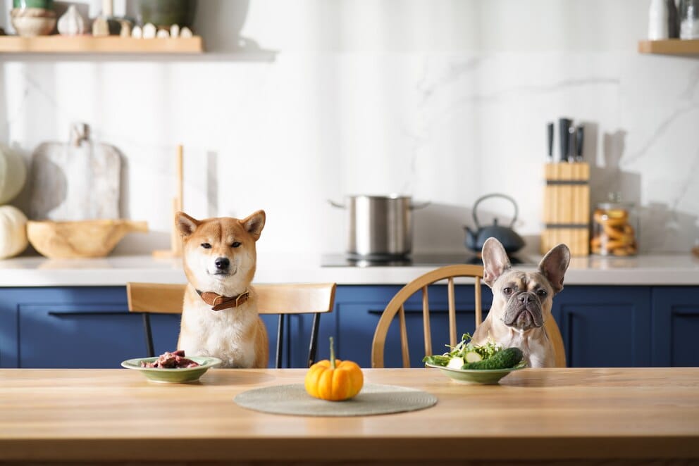 Vegan Dog Food Comparable to Meat-Based Options