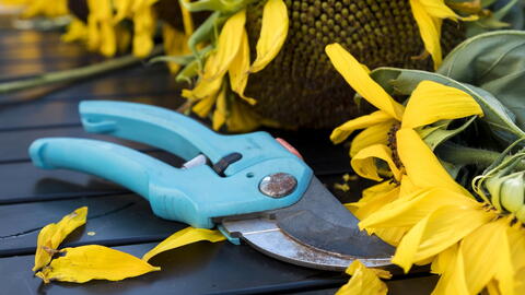 The Best Gardening Tools | Almanac.com