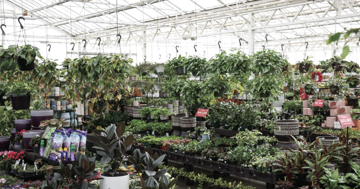 Watson’s Greenhouse and Nursery Expands to Olympia | Home + Garden