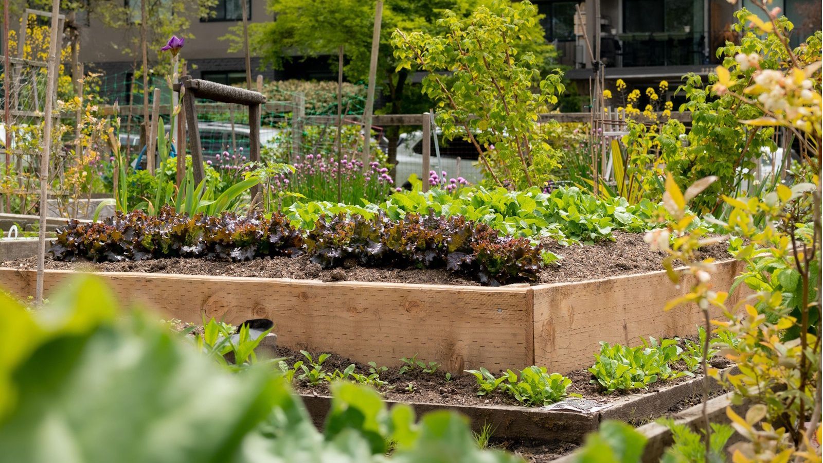 Fall raised bed garden ideas: 5 ways to use them this season