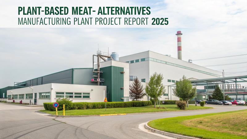 Plant-Based Meat Alternatives Manufacturing Plant Report