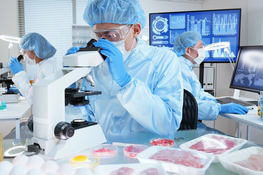 Scientists unlock hybrid protein potential for food system sustainability