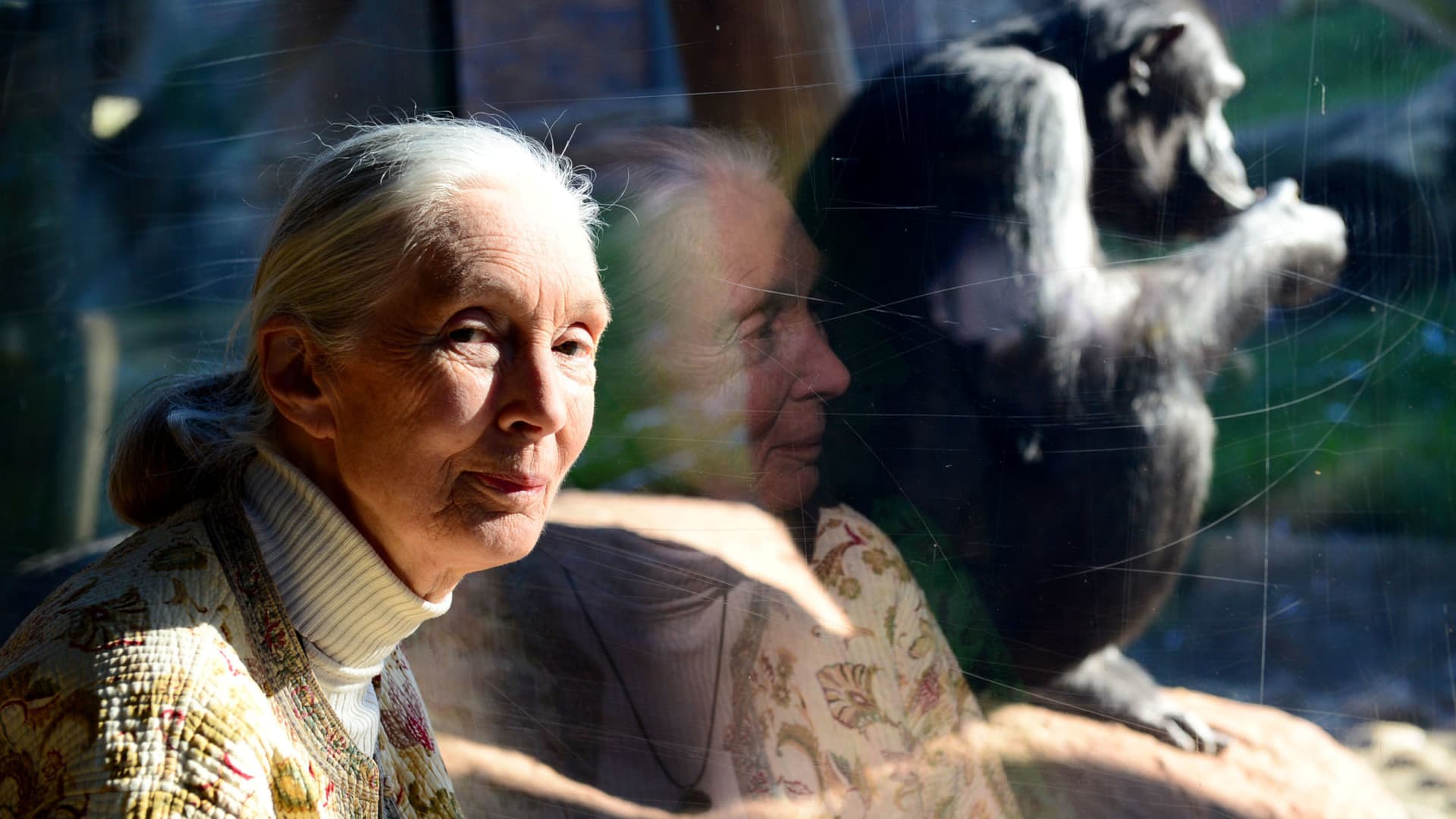 Why Jane Goodall adopted a plant-based diet back in the 1960s