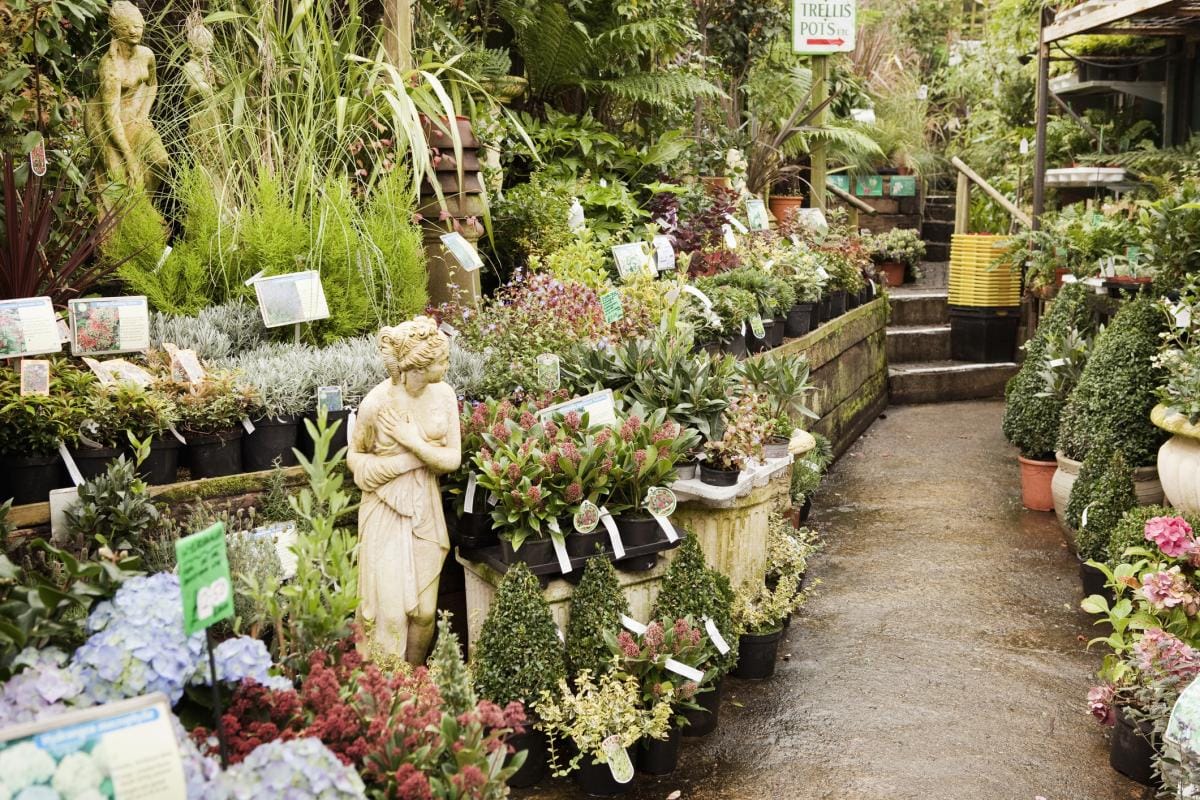 Trapped in a garden centre