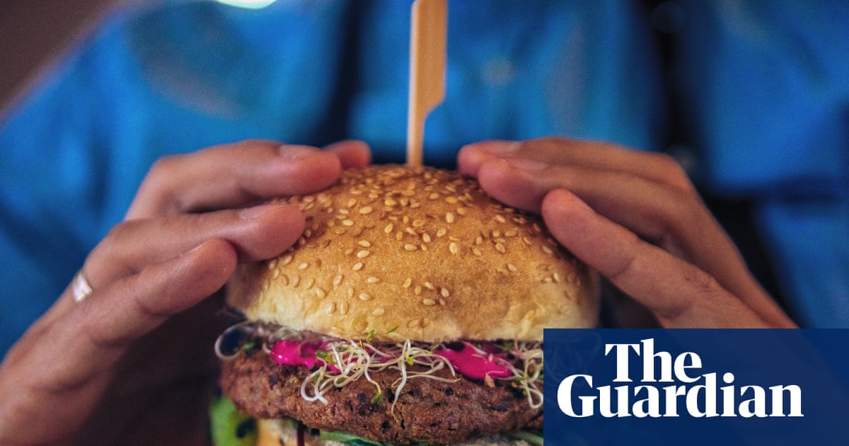 ‘Veggie burgers’ could be off EU menu as MEPs back renaming plant-based foods | European Union