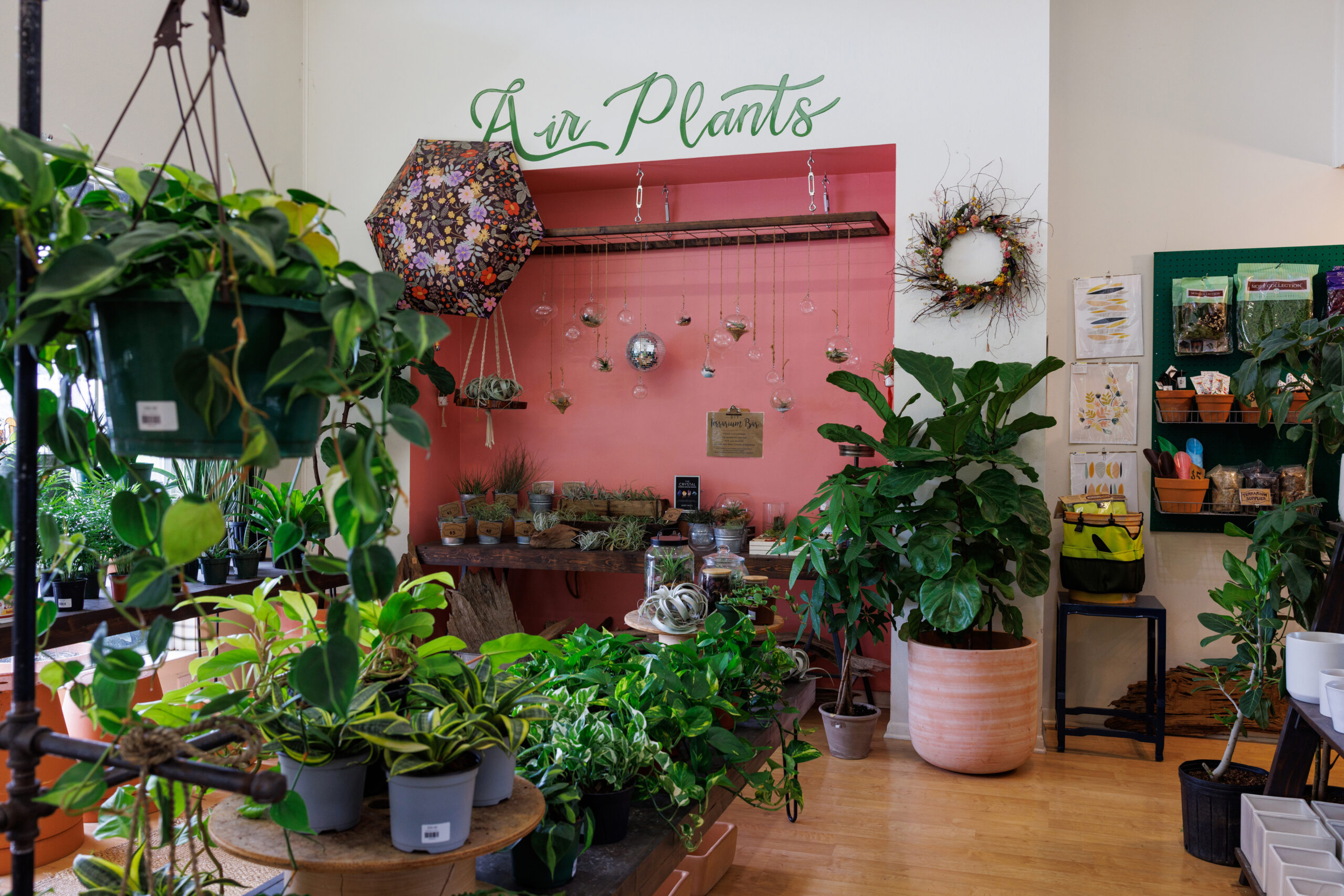Where to shop for plants in greater Baton Rouge