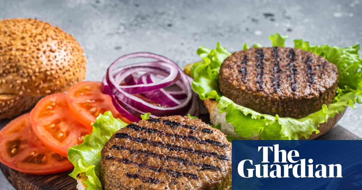 Ban on veggie ‘burgers’: plant-based products may lose meaty names in UK under EU law | Food & drink industry