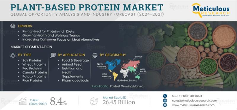 Global Plant-Based Protein Market: Growth Drivers, Trends,