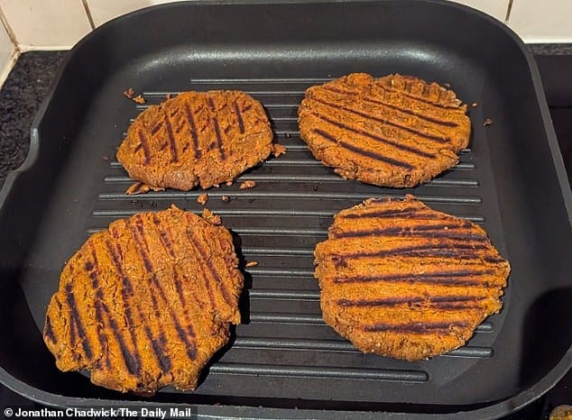 Grilliant or soy disgusting? Daily Mail tests vegan ‘meat’ made from sunflower flour – and it’s almost as good as real mince