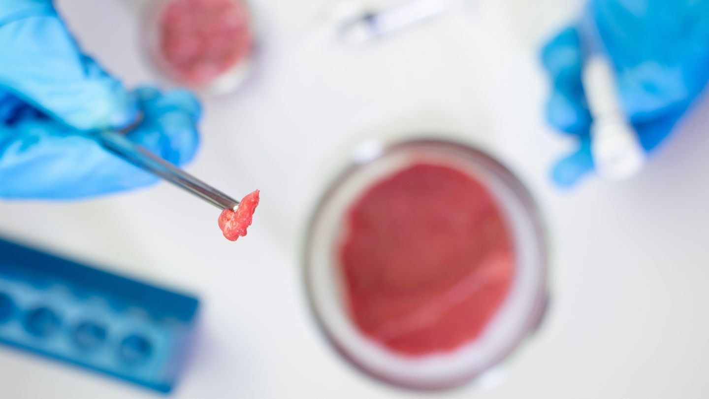 Hungary bans cultivated meat