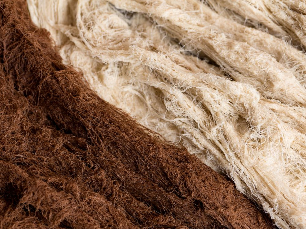 Start-up spotlight: Lasso | The Plant Base