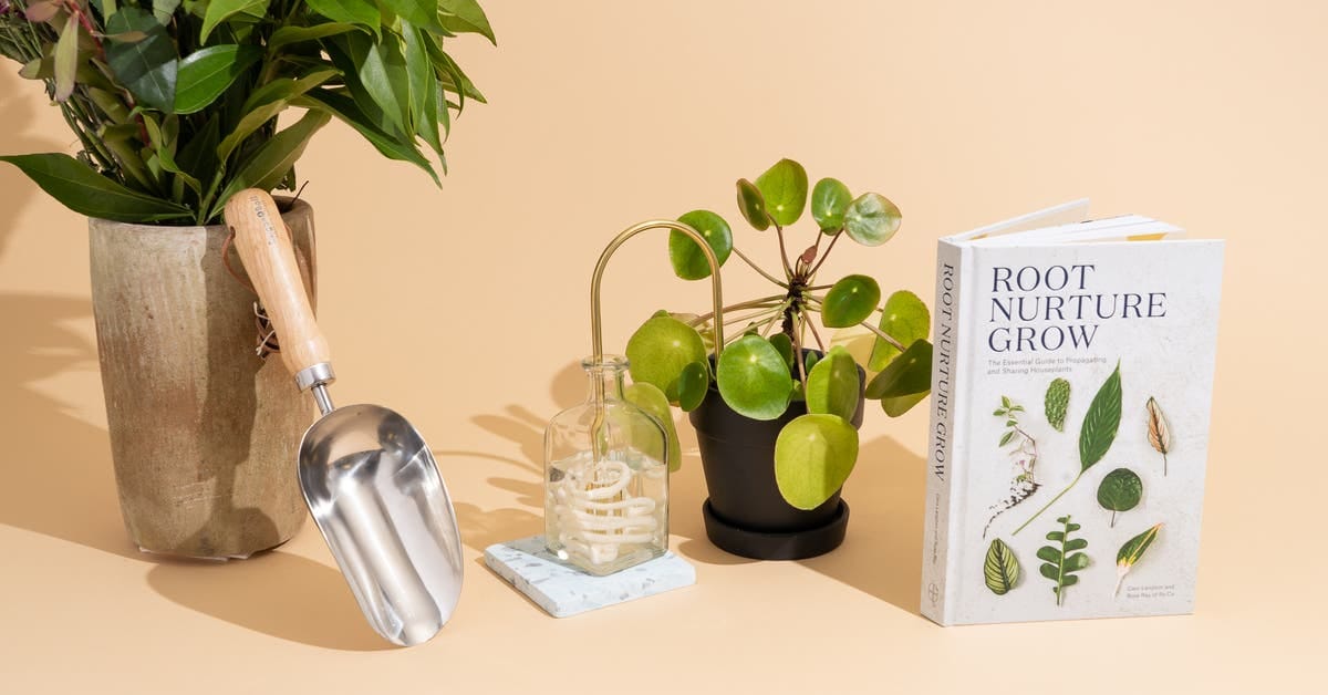 27 Best Gifts for Plant Lovers of 2025