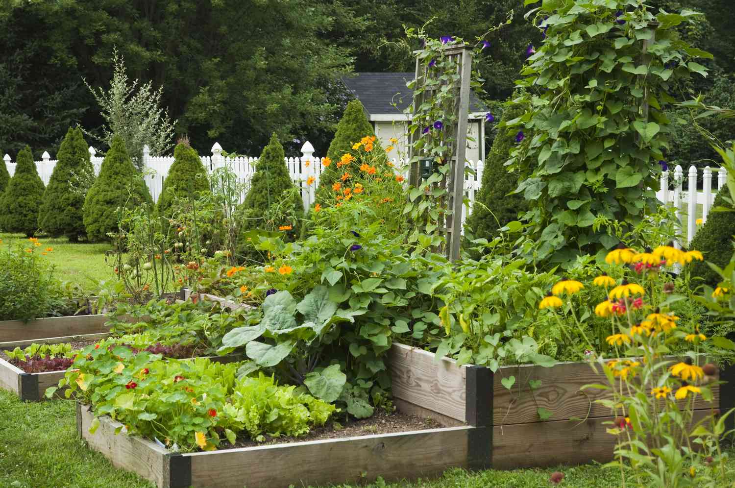 When to Plant Everything in Your Garden, From Flowers to Vegetables