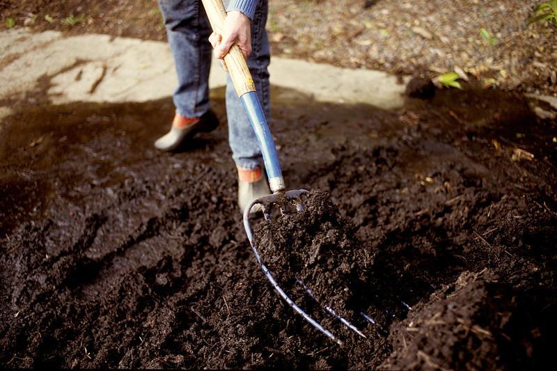 No-till gardening builds healthier soil at home