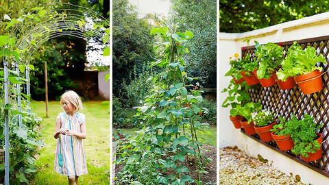 Grow More Vegetables in Less Space