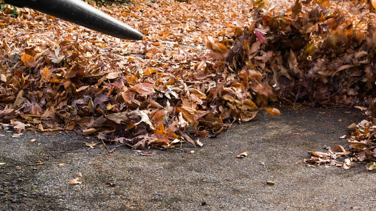 Best Leaf Blower Buying Guide