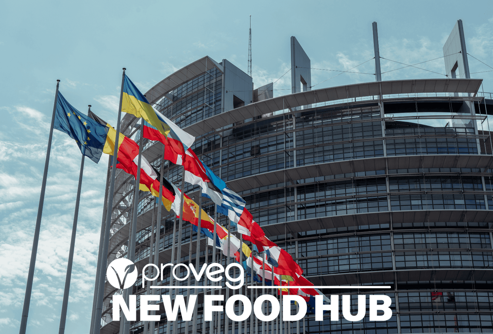 EU Labelling Rules Could Reshape the Plant-Based Market – Industry Voices Are Sounding the Alarm – vegconomist