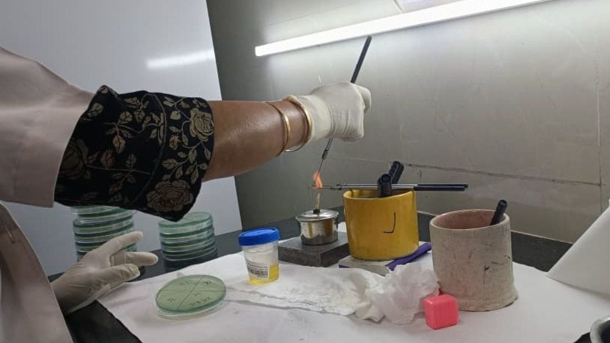 Paul McCartney, let it be. Lab-grown meat doesn’t need impersonation, give it new names